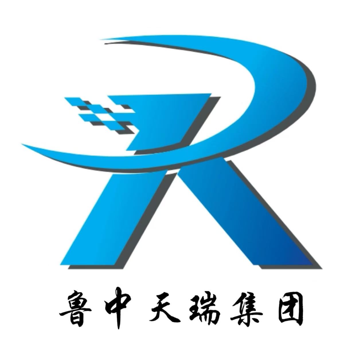 魯中天瑞（山東）人力資源開發(fā)服務集團有限公司